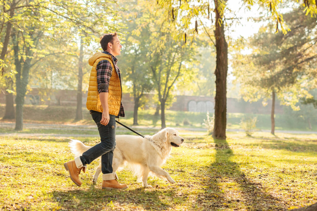 guy walking a dog